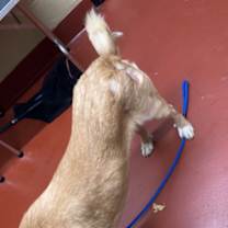 Thumbnail photo of Cabela #4