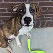 Thumbnail photo of Sid #3