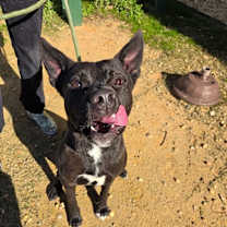 Thumbnail photo of Fletcher #4