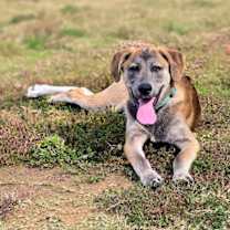 Thumbnail photo of Judge #3