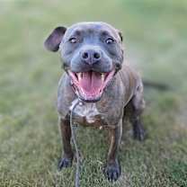 Thumbnail photo of Zach (Max) #1