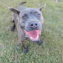 Thumbnail photo of Zach (Max) #2