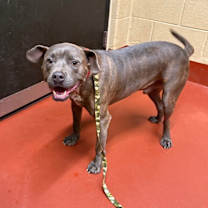 Thumbnail photo of Zach (Max) #3