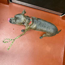 Thumbnail photo of Zach (Max) #4