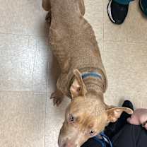 Thumbnail photo of Toasty #4