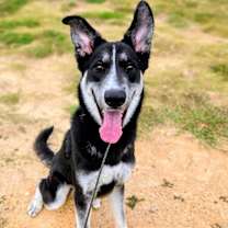 Thumbnail photo of Radar #1