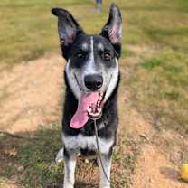 Thumbnail photo of Radar #2