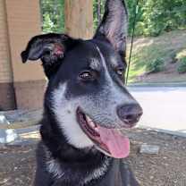 Thumbnail photo of Radar #3