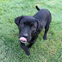 Thumbnail photo of Elle #2