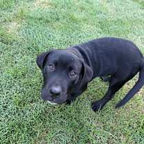 Thumbnail photo of Elle #3