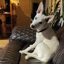 Thumbnail photo of Clay  #1