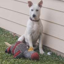 Thumbnail photo of Clay  #2