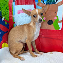 Thumbnail photo of Doodle #1