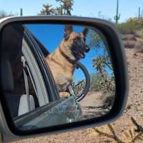 Thumbnail photo of Kiki #2