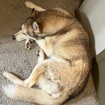 Thumbnail photo of Mwindaji #1