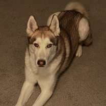 Thumbnail photo of Mwindaji #2