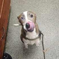 Thumbnail photo of Gem #3