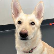 Thumbnail photo of Nella #1