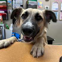 Thumbnail photo of Beauty #2