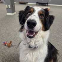 Thumbnail photo of Max #1