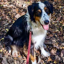 Thumbnail photo of Max #2