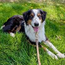 Thumbnail photo of Max #3