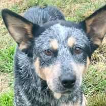 Thumbnail photo of Hana #1