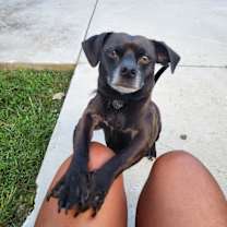 Thumbnail photo of Bruno #1