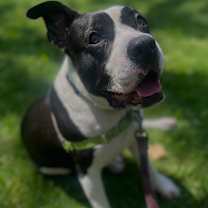 Thumbnail photo of Stella #2