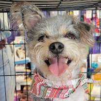 Thumbnail photo of Sam #1