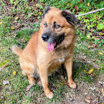 Thumbnail photo of Oso #1