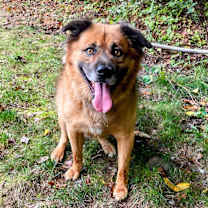 Thumbnail photo of Oso #3