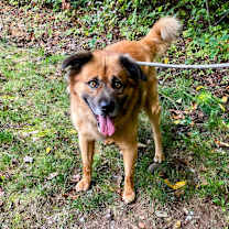 Thumbnail photo of Oso #4