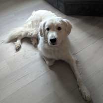 Thumbnail photo of Rhaenyra (Ruh-near-uh) #2