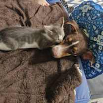 Thumbnail photo of Scout #3