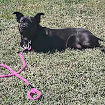 Thumbnail photo of Sissy #2