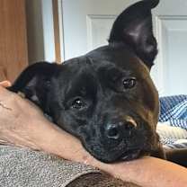 Thumbnail photo of Sissy #3