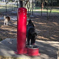 Thumbnail photo of Artimiss #3