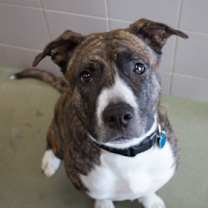 Thumbnail photo of Kita #1