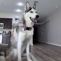 Thumbnail photo of Aspen #3