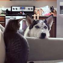 Thumbnail photo of Aspen #4