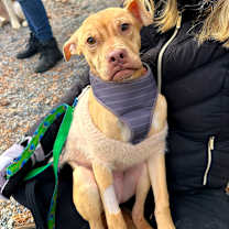 Thumbnail photo of Cody #3