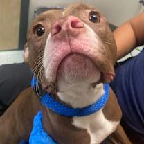 Thumbnail photo of Mabeline  #3