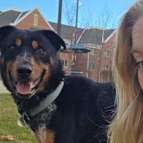 Thumbnail photo of Oodles McCheer #2