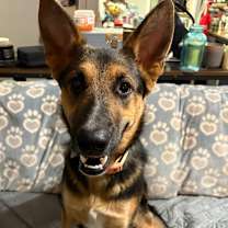 Thumbnail photo of Reese  #1