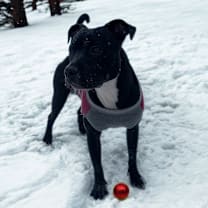 Thumbnail photo of Chanel #1