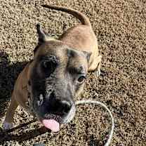 Thumbnail photo of Otis #1