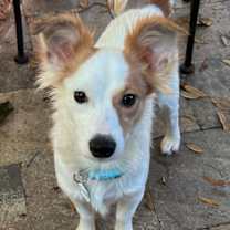 Thumbnail photo of Trevor #2