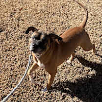 Thumbnail photo of Otis #2