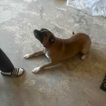 Thumbnail photo of Otis #3